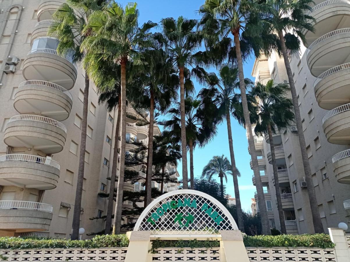 Tropicana Park Solo Familias Serviplaya Gandía Eksteriør bilde